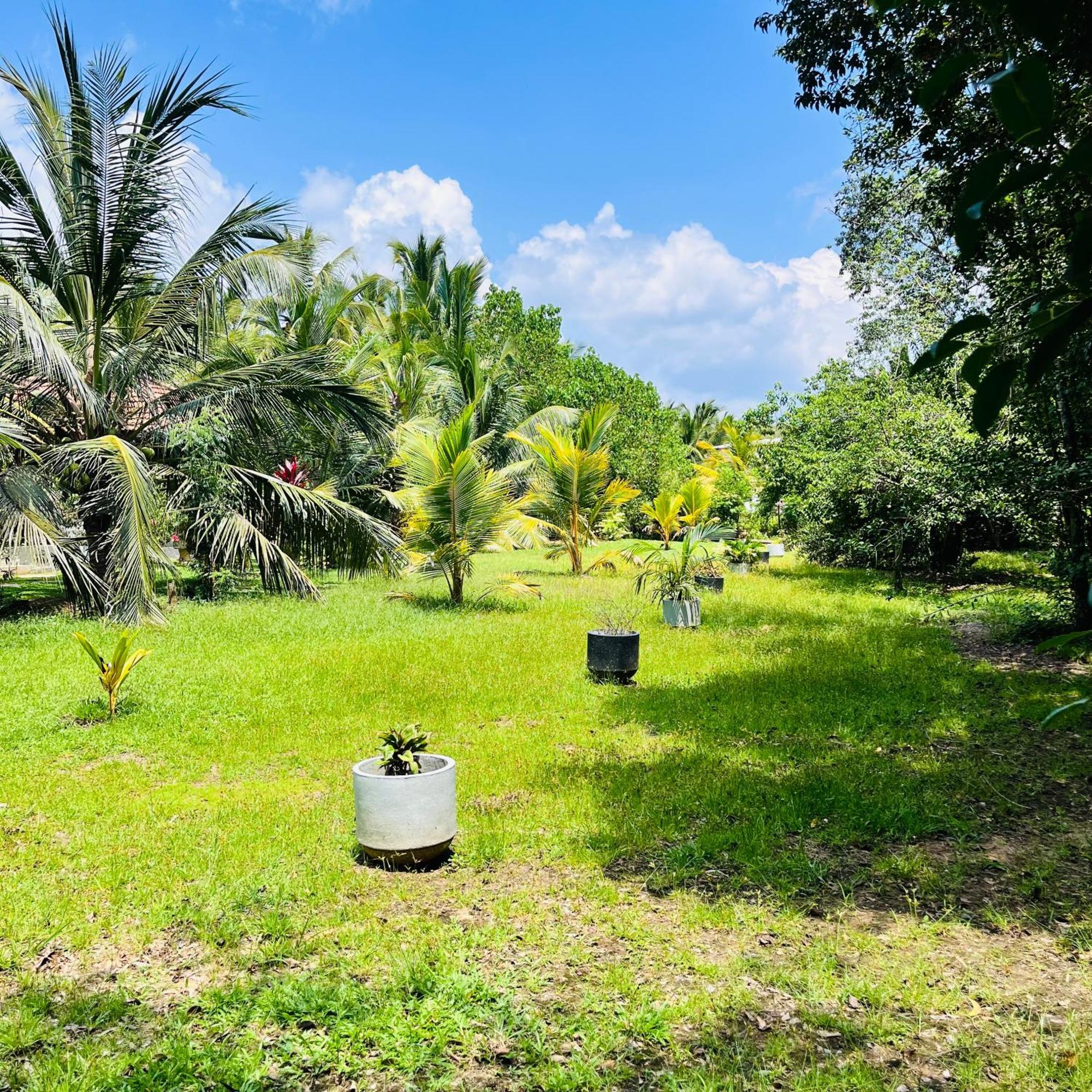 Hanguk Lanka Lagoon Villa Tangalle Esterno foto